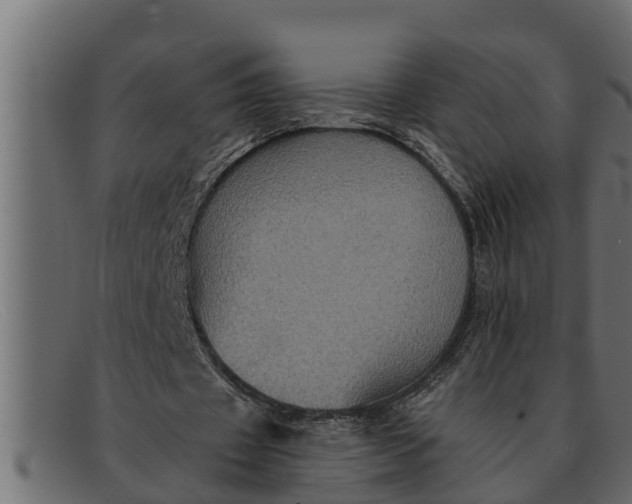 X0000091910433200709191323