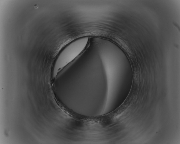 X0000091910434200709191323