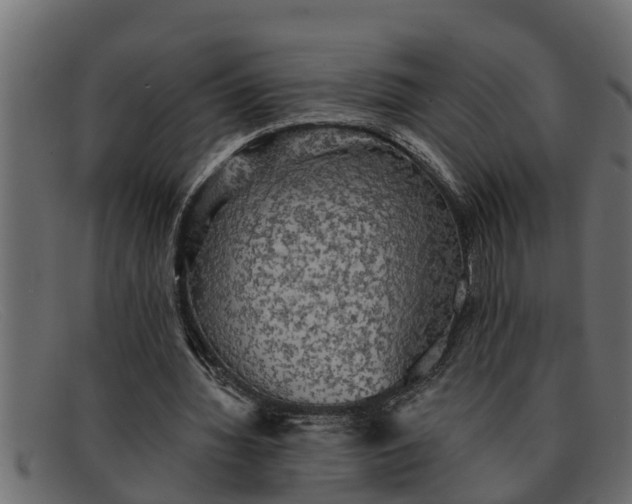 X0000091910436200709191323