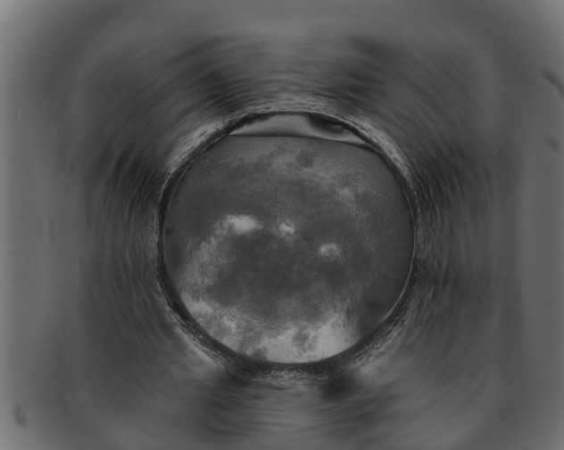 X0000091910437200709191323