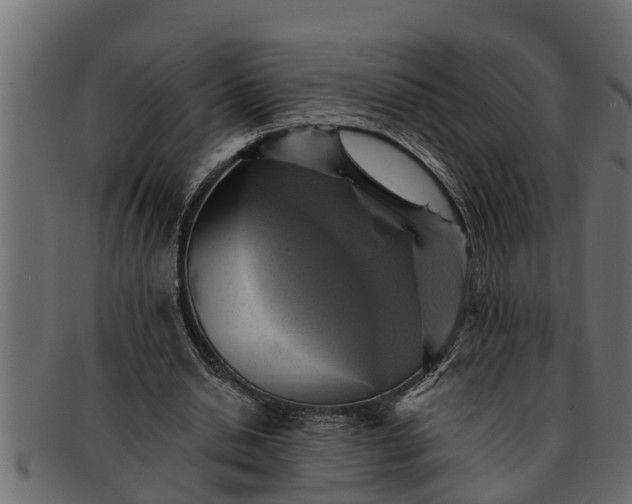 X0000091910438200709191323