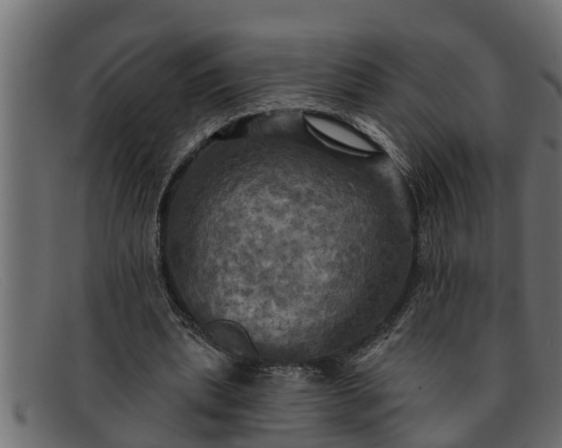 X0000091910439200709191323