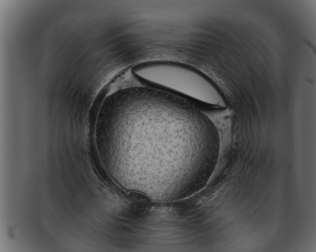 X0000091910440200709191323