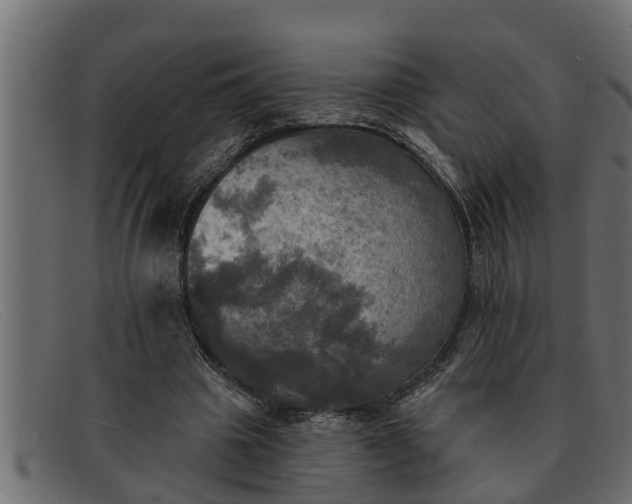 X0000091910441200709191323