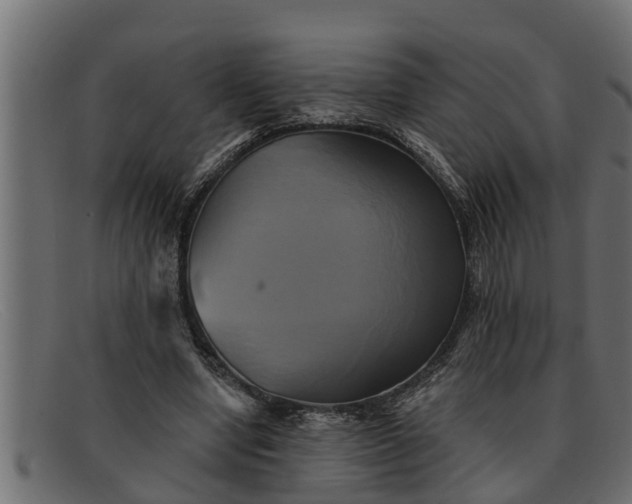 X0000091910442200709191323