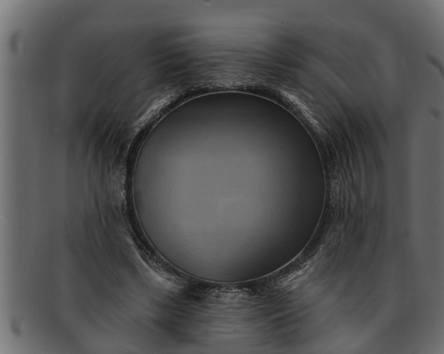 X0000091910443200709191323