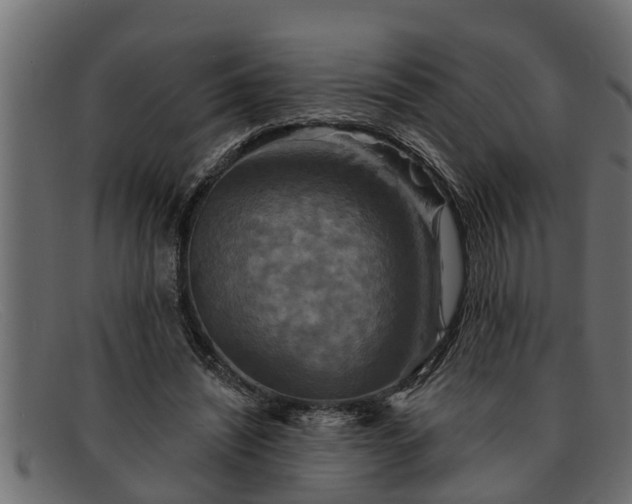 X0000091910444200709191323