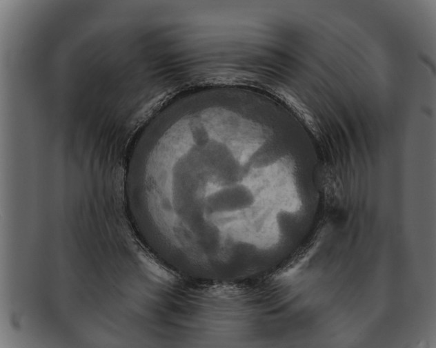 X0000091910445200709191323