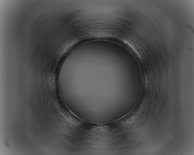 X0000091910447200709191323