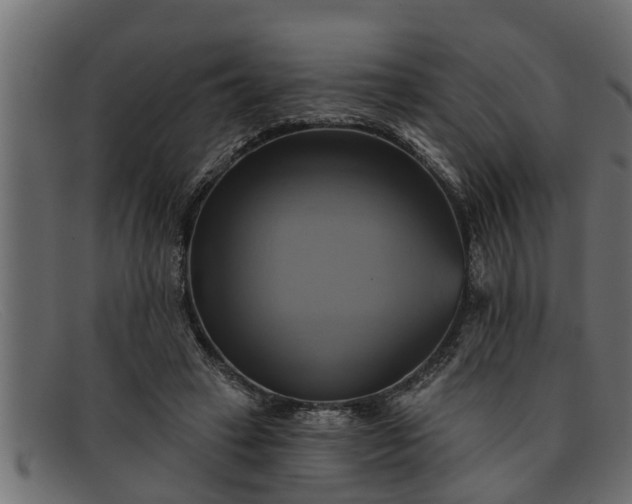 X0000091910449200709191323