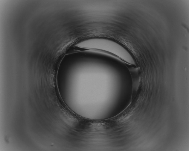 X0000091910450200709191323