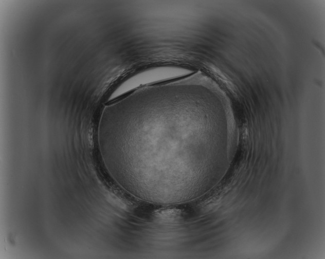 X0000091910452200709191323