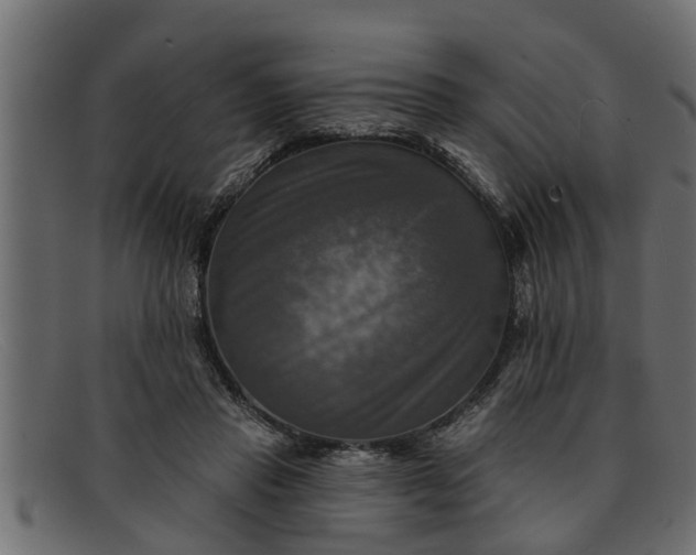 X0000091910453200709191323