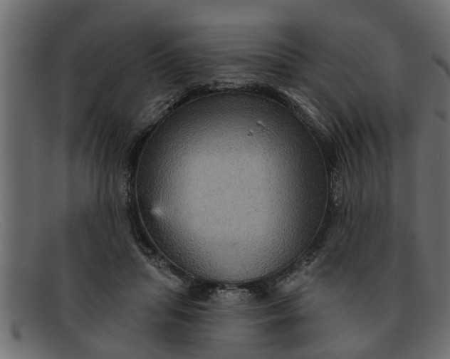 X0000091910455200709191323