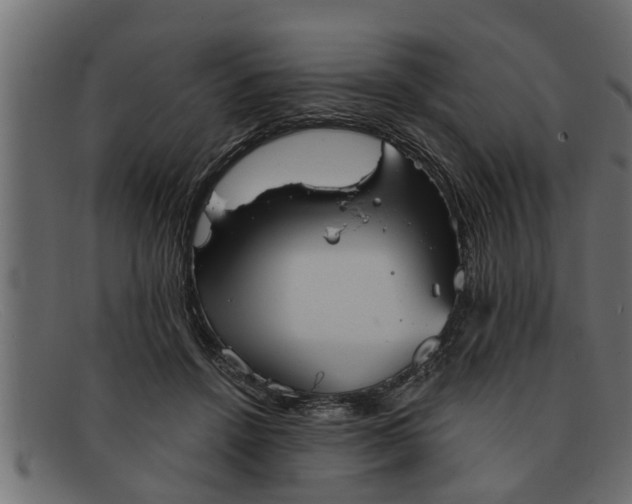 X0000091910456200709191323