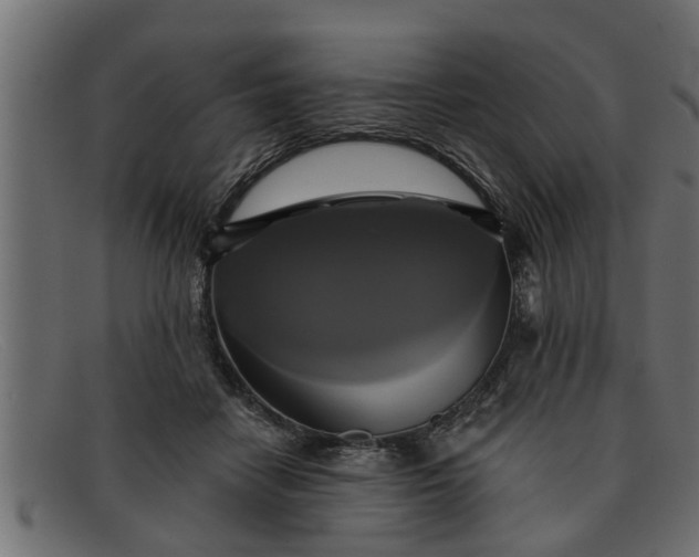 X0000091910458200709191323