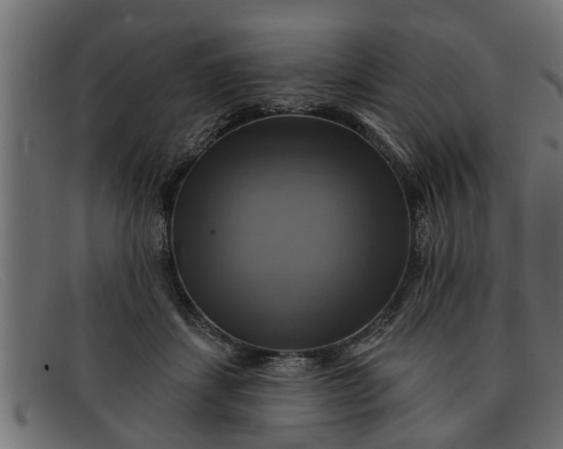 X0000091910459200709191323