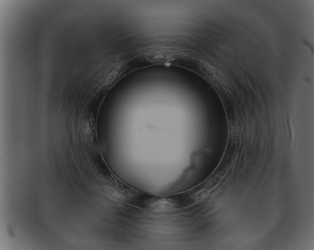 X0000091910460200709191323