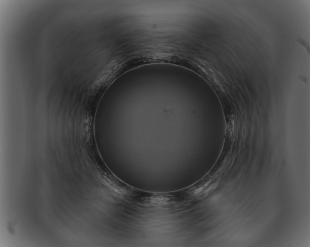 X0000091910462200709191323