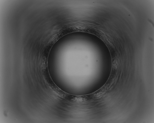 X0000091910464200709191323