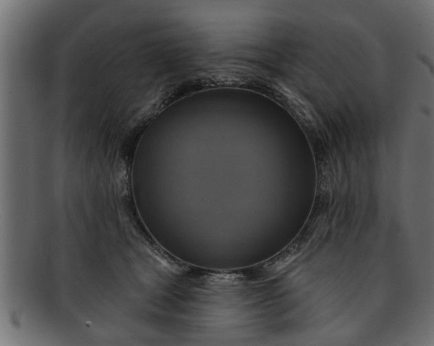 X0000091910465200709191323