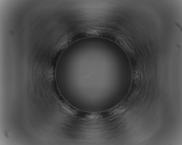 X0000091910466200709191323