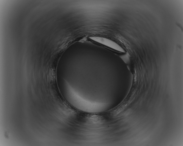 X0000091910467200709191323