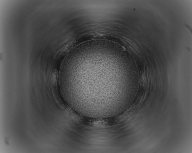 X0000091910468200709191323