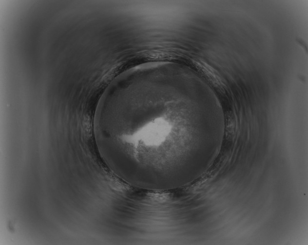 X0000091910469200709191323