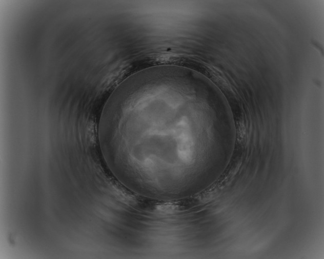 X0000091910470200709191323