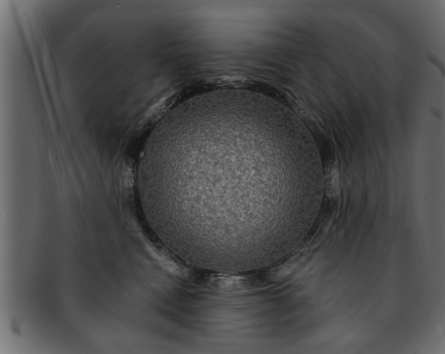 X0000091910472200709191323