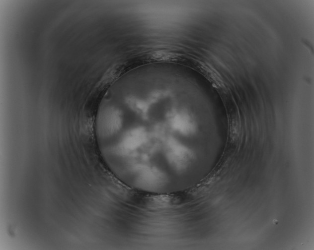 X0000091910473200709191323