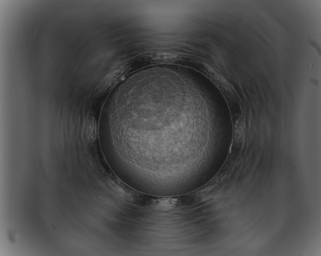 X0000091910474200709191323