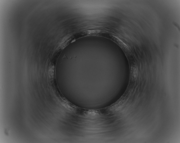 X0000091910475200709191323