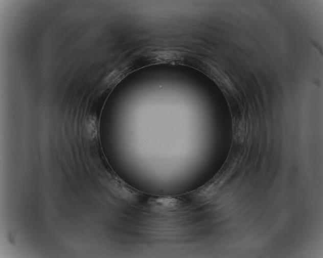 X0000091910478200709191323