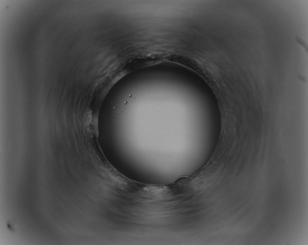 X0000091910480200709191323