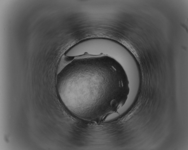 X0000091910481200709191323