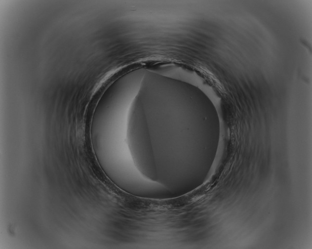 X0000091910484200709191322