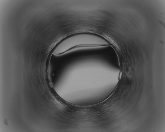 X0000091910485200709191322