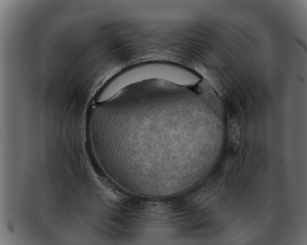 X0000091910486200709191322