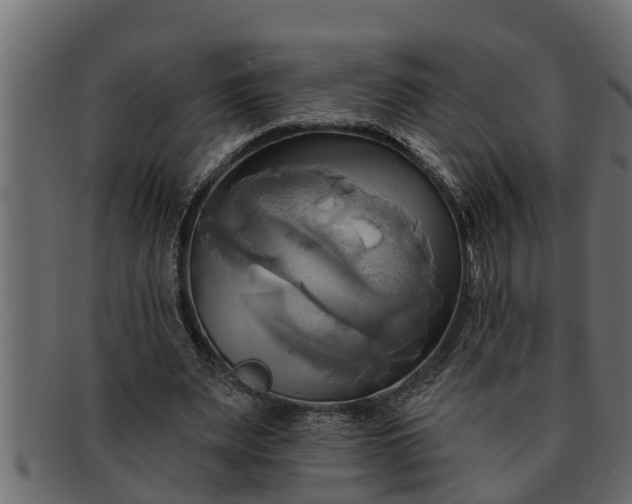 X0000091910487200709191322