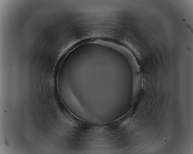 X0000091910488200709191322