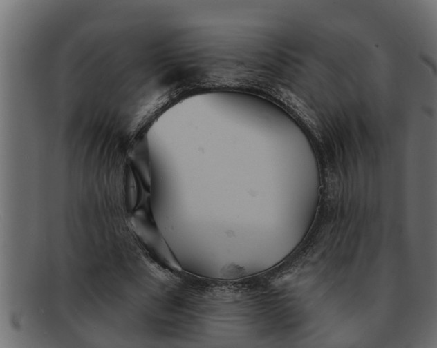 X0000091910489200709191322