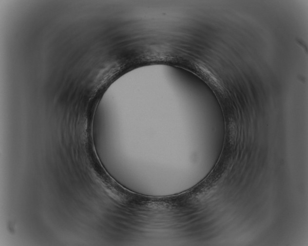 X0000091910490200709191322