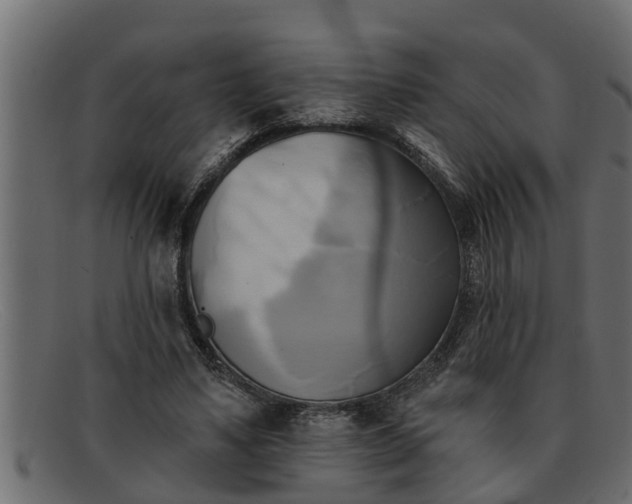 X0000091910491200709191322