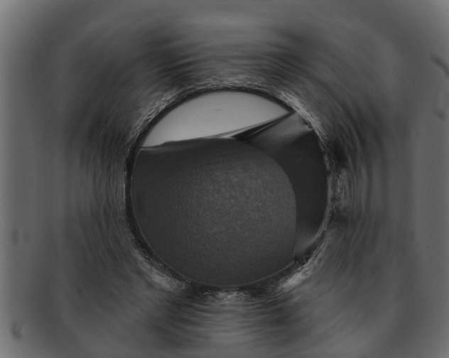 X0000091910493200709191322