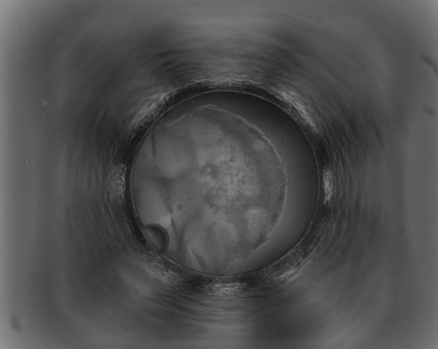 X0000091910495200709191322