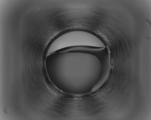 X0000091910496200709191322