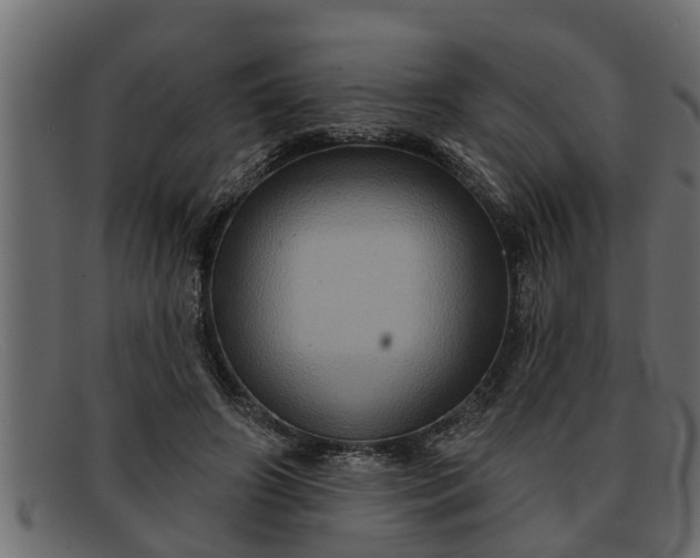 X0000091910498200709191322