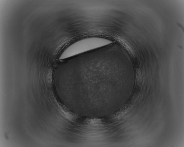 X0000091910501200709191322